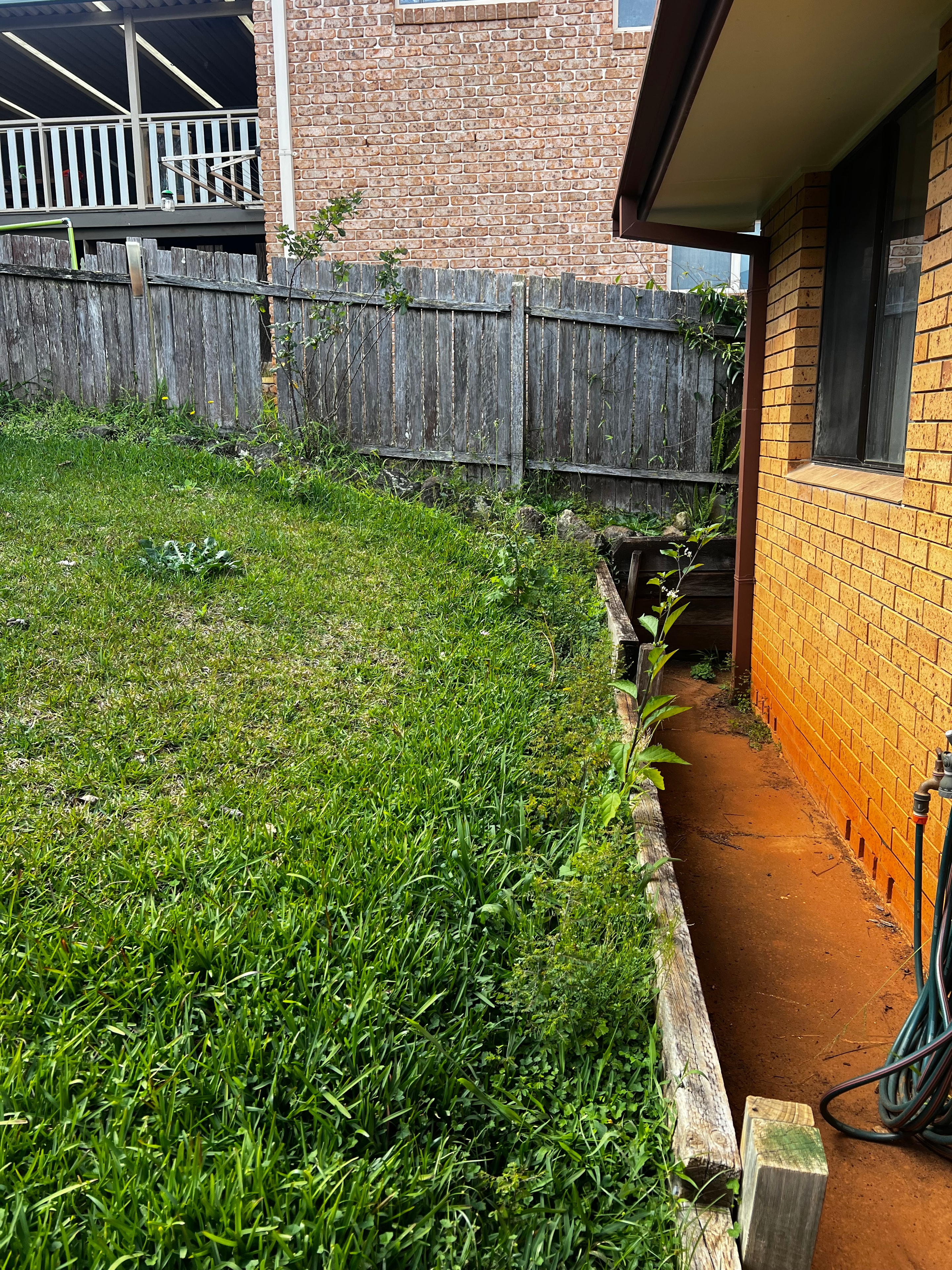 Before — Lawn Care in Port Macquarie
